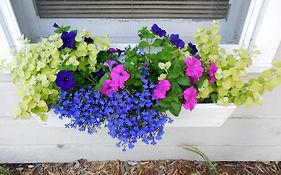 Somerset Inn & Suites